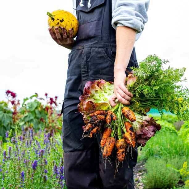 Eindelijk actie! Van een beetje biologisch naar alles biologisch