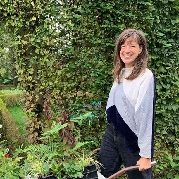 Help biodiversiteit en ga wildplukken in eigen tuin met een voedselbosje