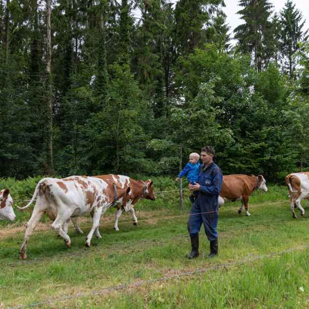 Open brief aan de boeren van Nederland