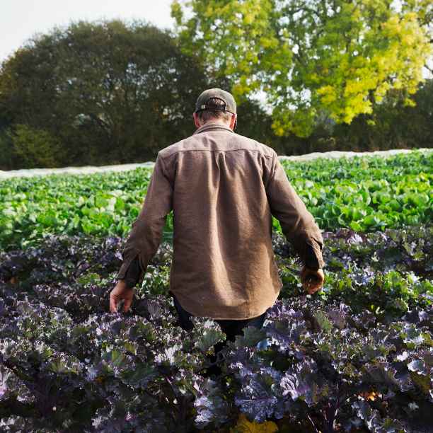 Dit is waarom een gezonde bodem van levensbelang is