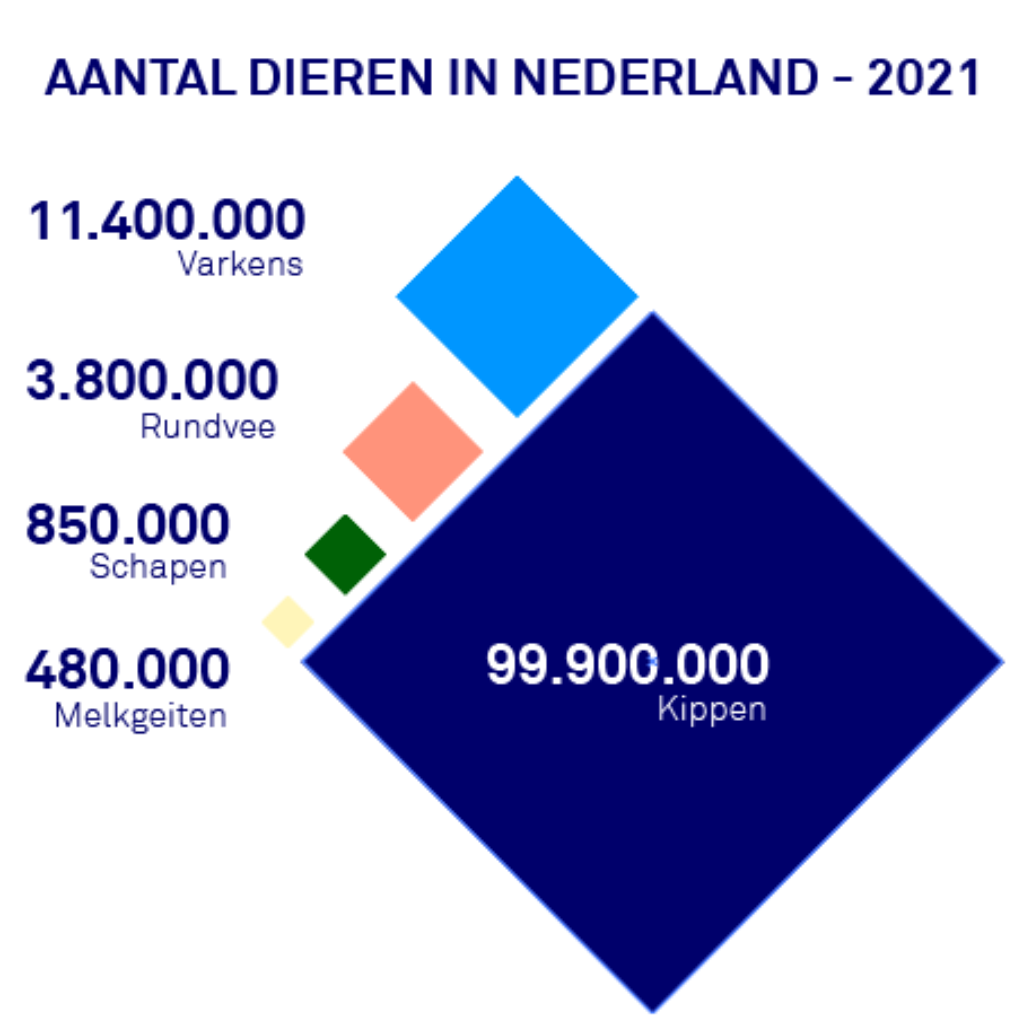 Hoeveel landbouwdieren telt ons land?