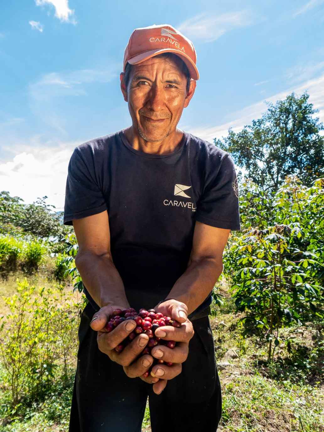 In de koffieketen staan individuele koffieboeren aan het begin van de keten. In tegenstelling tot veel andere gewassen wordt koffie kleinschalig verbouwd.