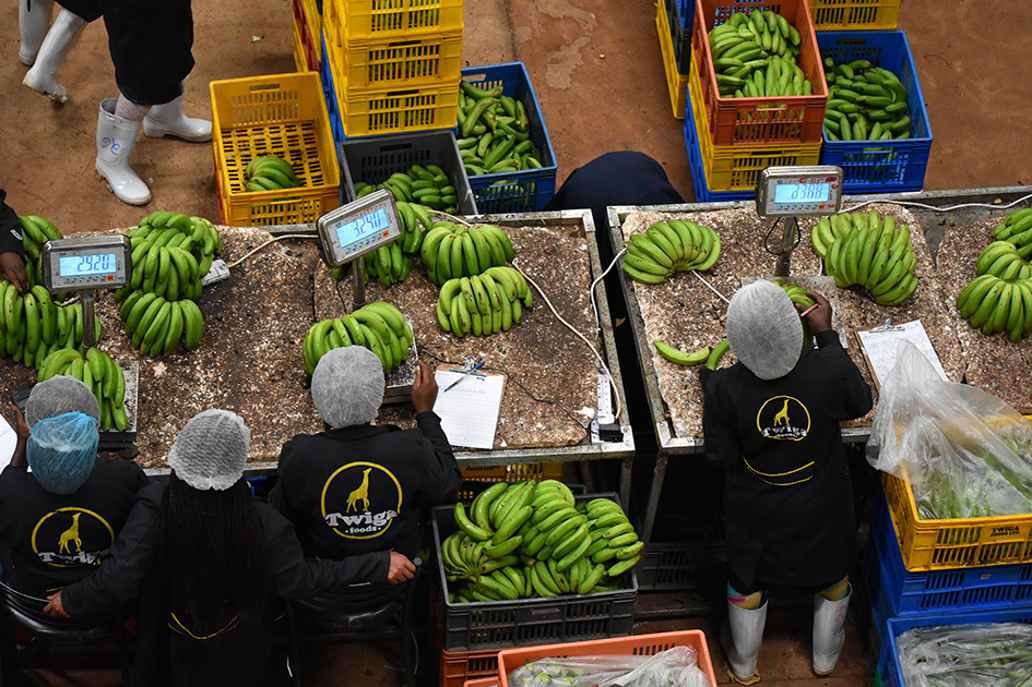 Twiga Food in Nairobi, Kenia