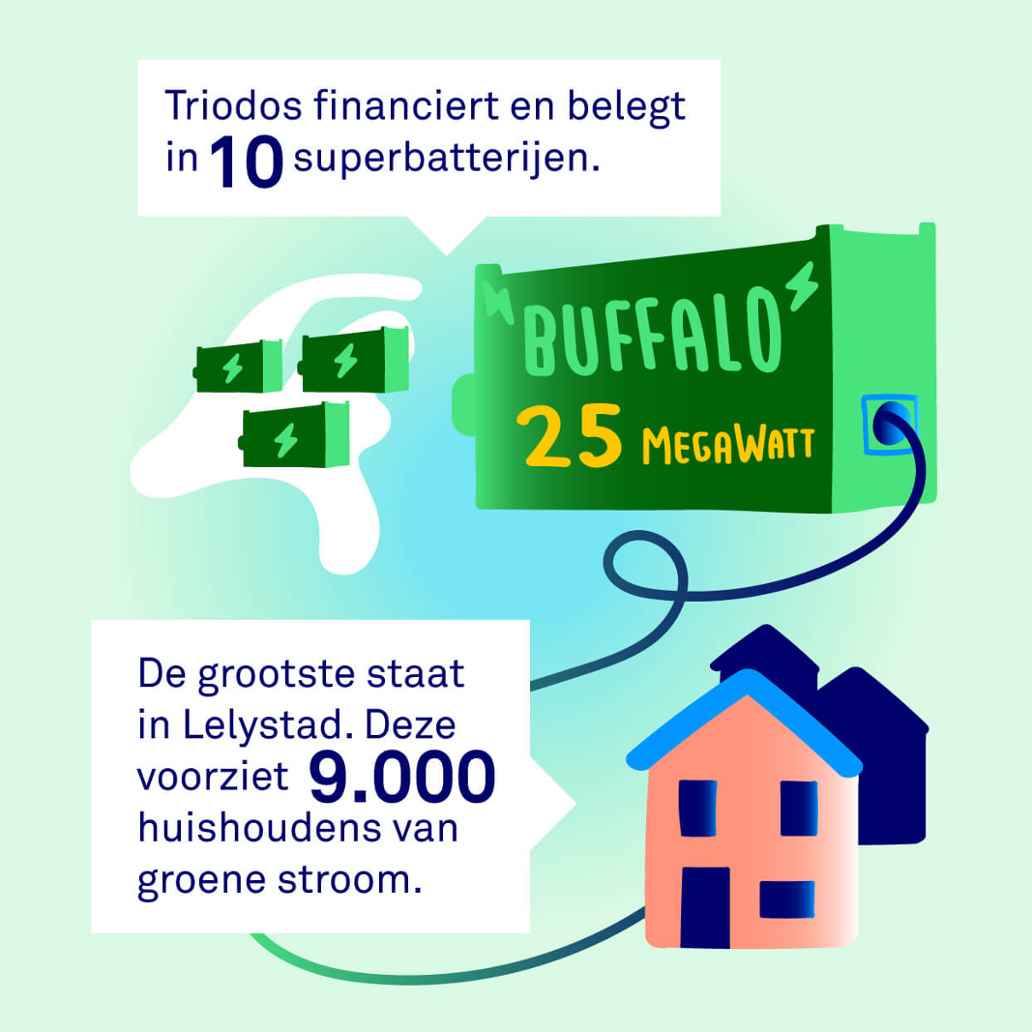 Infographic over de financiering van superbatterijen door Triodos