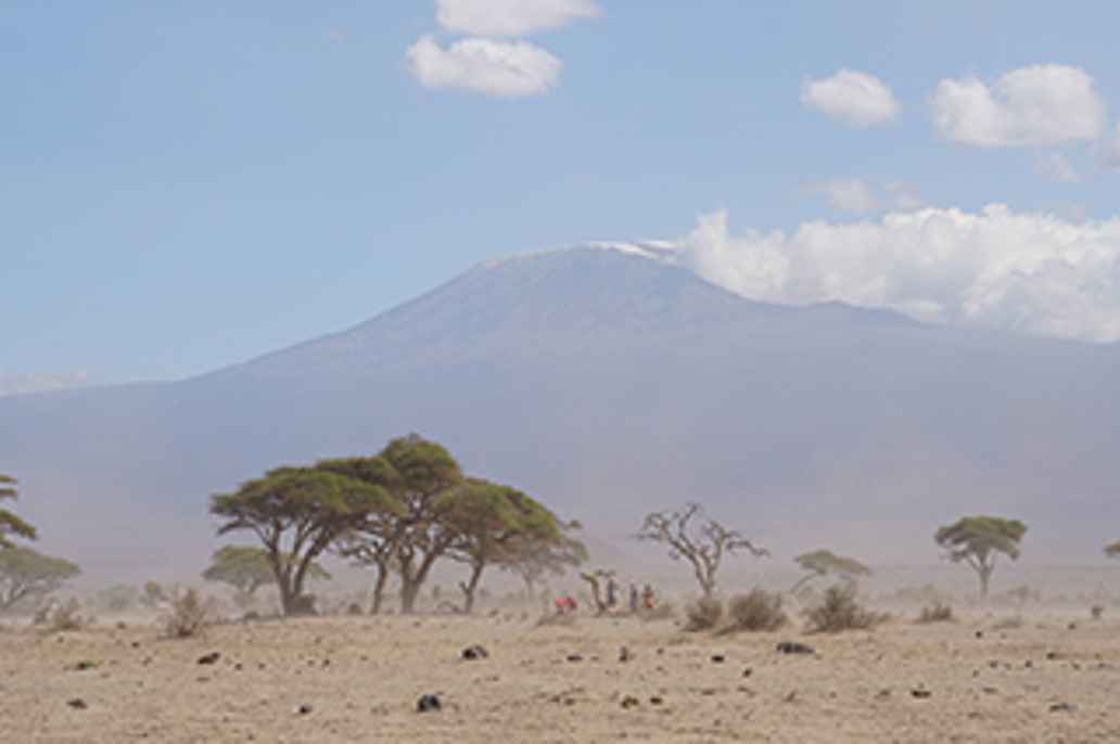 De regio rondom de Kilimanjaro heeft veel last van woestijnvorming.