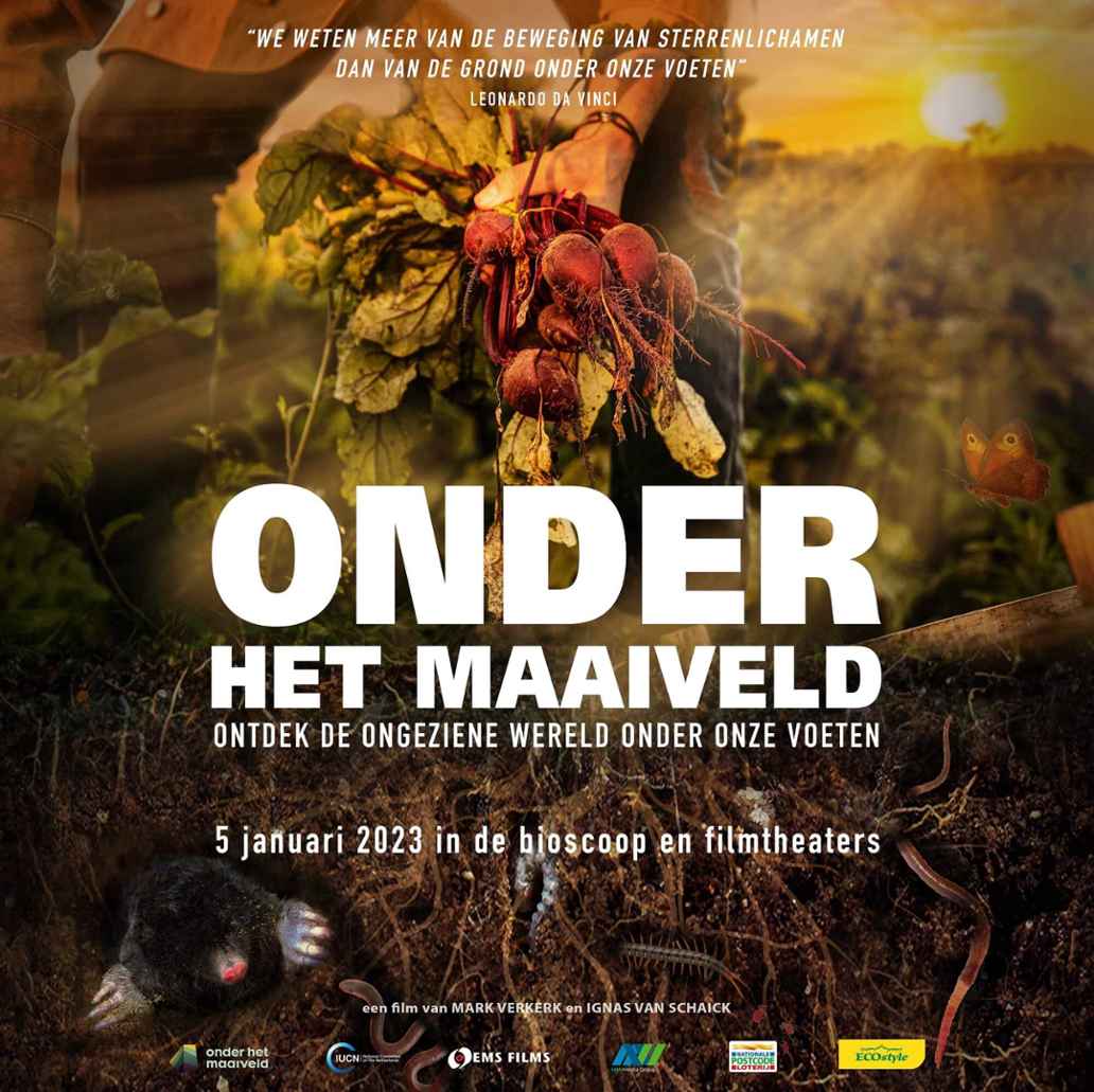 Filmposter van de film Onder het maaiveld